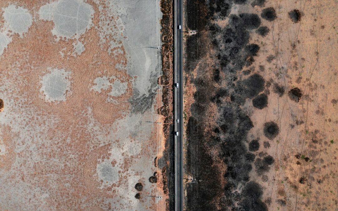 Mold: The Dangers Lurking in Your Home